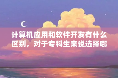 計算機軟件開發與應用 ?？粕穆殬I選擇與發展前景分析