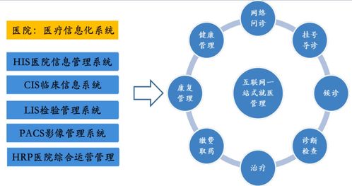 計算機軟件開發(fā)與應用 新基建浪潮下的核心驅動力